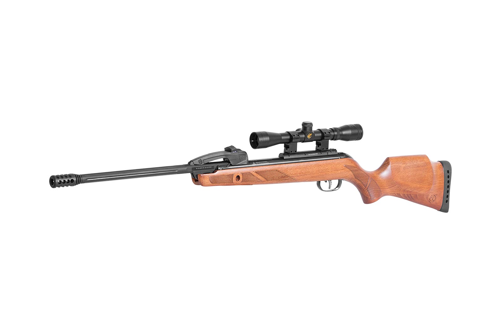 GAMO CARAB FAST SHOT 10X IGT - Image 3