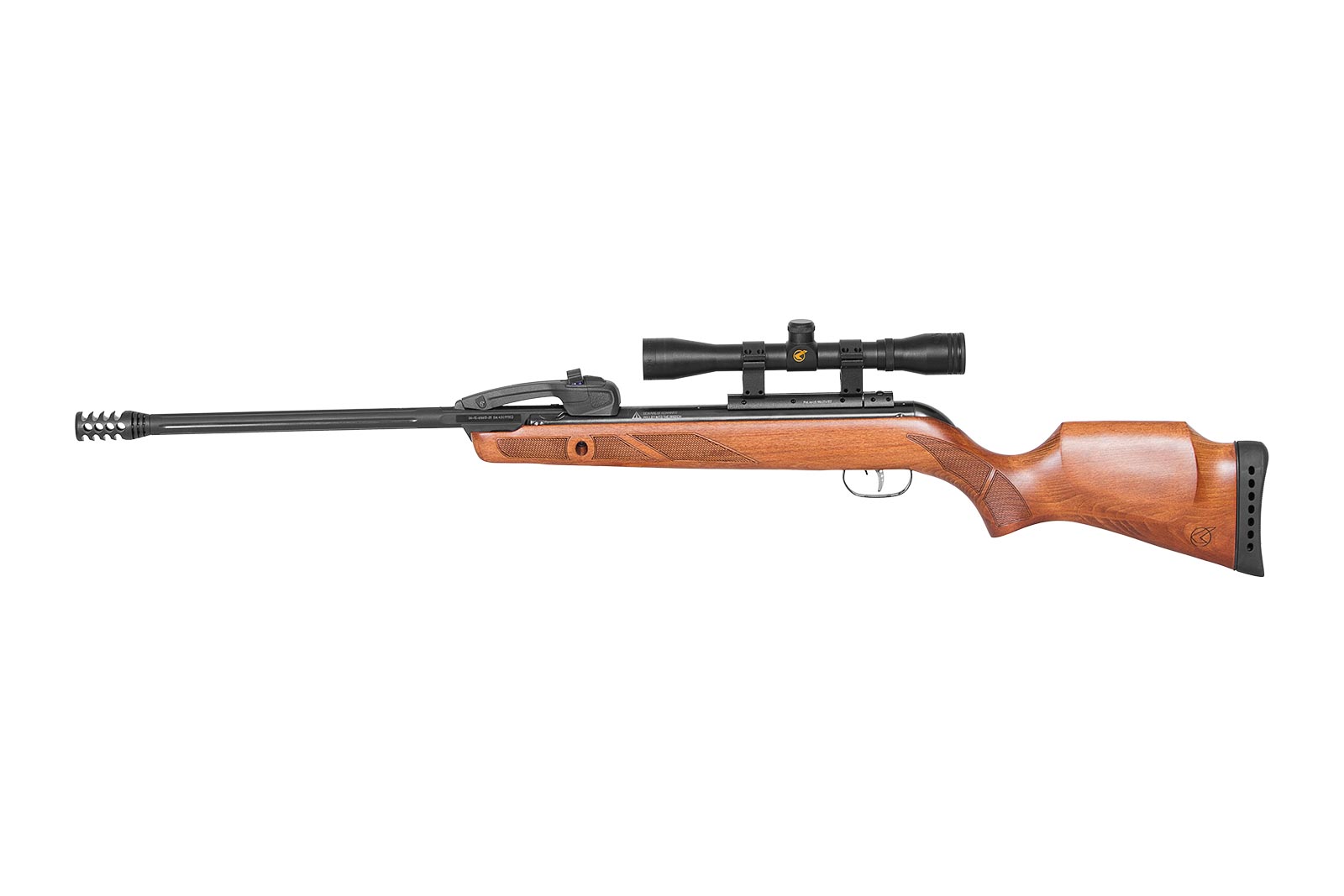 GAMO CARAB FAST SHOT 10X IGT - Image 2
