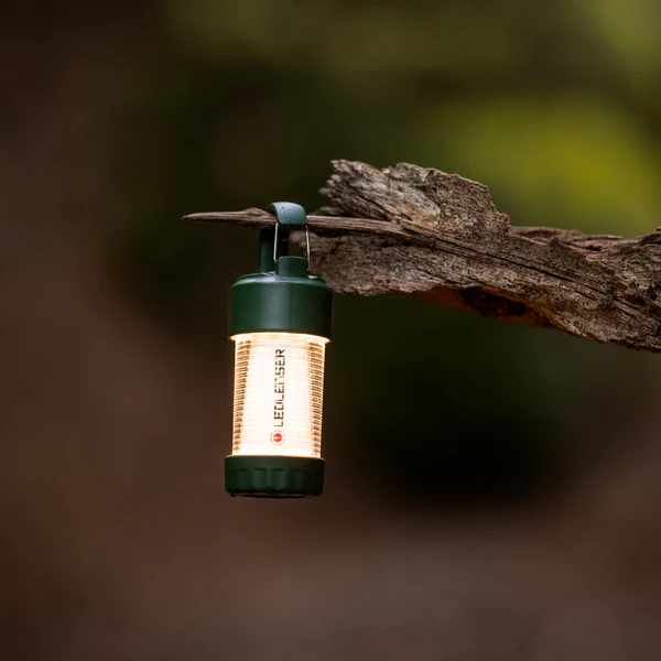 ML4 GREEN LIMITED EDITION - Image 5